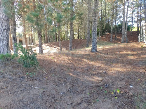 Imagen 5 de 11 de Lindo Terreno En Venta - Barrio Ecuestre De Costa Esmeralda