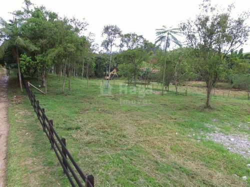 Imagem 8 de 19 de Chácara À Venda No Bairro Moura - Canelinha/sc - 1960c