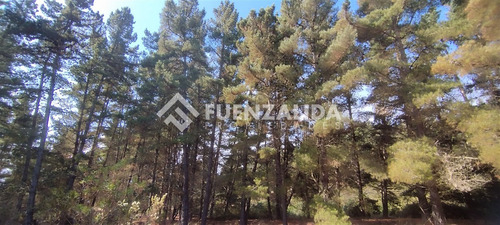 Casa 180 M2 - Terreno 11.200 M2 - Los Pinares De Algarrobo
