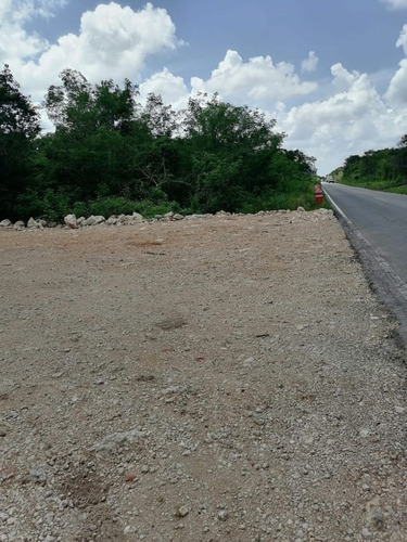 Imagen 6 de 10 de Lotes Semi Urbanizados Punta Clara En Dzidzantún, Yucatán