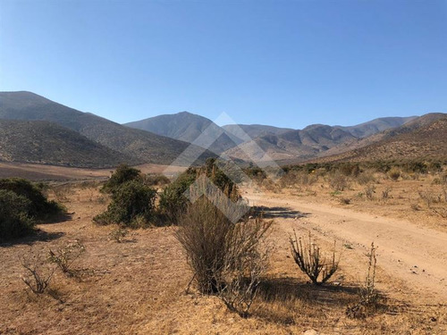 Agrícola En Venta En Andacollo