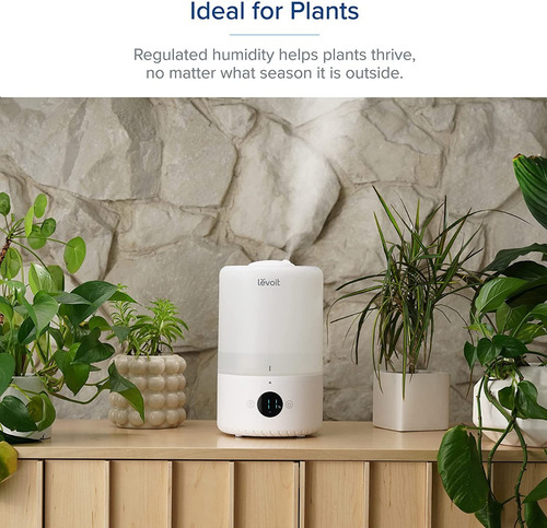 Humidificador Ultrasonico Levoit Aromas Control Wifi Y Alexa