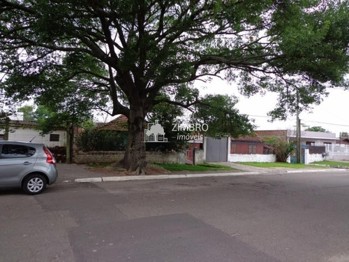 Imagem 3 de 13 de Terreno Na Av. Liberdade! - M8334