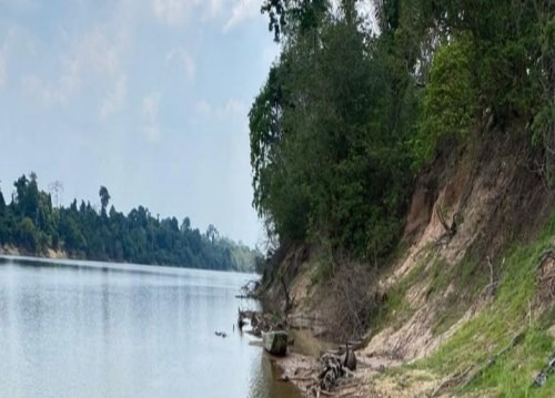Imagem 12 de 14 de Fazenda Com 101.000 Hectares No Norte Do Brasil