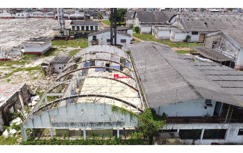 Imagem 10 de 15 de Terreno Belém - 1007646