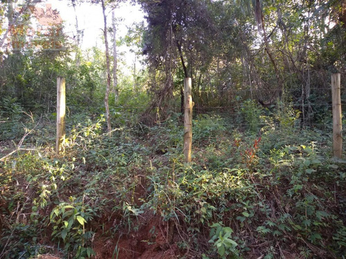 Imagem 5 de 5 de Chácara Para Venda Em Santana De Parnaíba, Parque Jaguari (fazendinha) - Sd35_2-1181208