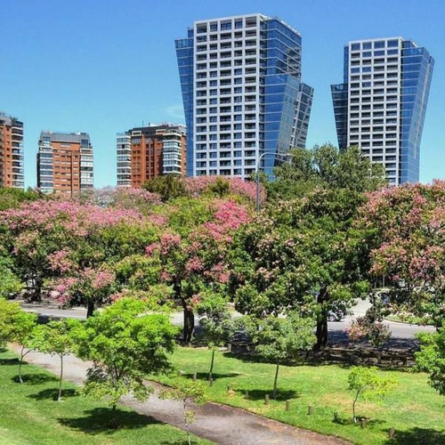 Imagen 1 de 3 de Venta 3 Dorm Forum