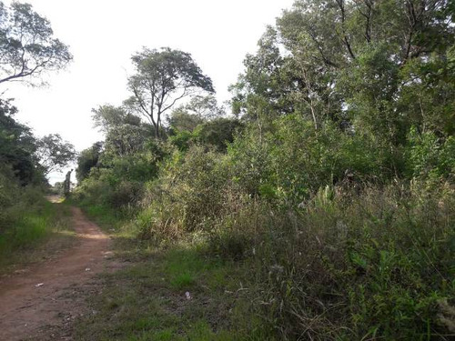 Atención Inversionistas, Importante Terreno En Venta.-