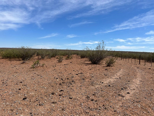 Venta Campo, Terreno, Senillosa, Confluencia, Neuquén, Añelo, Vaca Muerta, Ruta 22, Parque Industrial, Patagonia