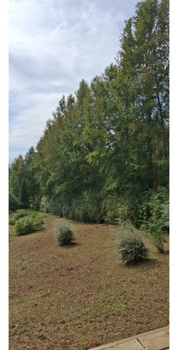 Preciosa Casa En Parcela Alto Pinar Villarrica Con Recepción