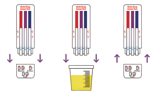 Prueba Antidoping 6 Parametros Anf Thc Coc Met Opi Bzo 10pzs