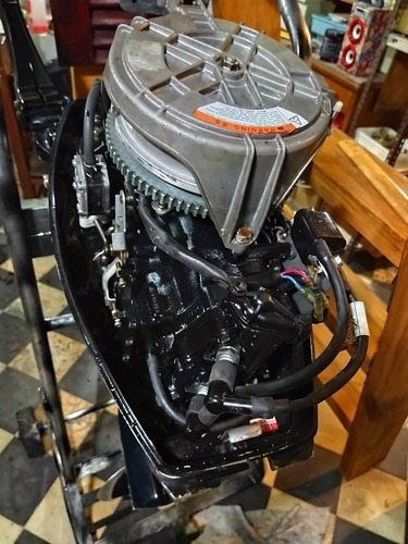 Imagen 5 de 15 de Mercury 25hp Sea Pro 2006 Leer