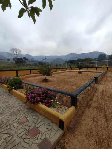 Imagen 4 de 24 de Rosaura Cortez Vende Finca Agroindustrial En Bejuma Reyes Arriba