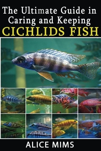The Ultimate Guide In Caring And Keeping Cichlids Fish