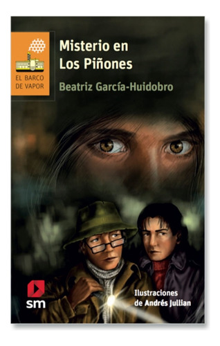 Libro Misterio En Los Piñones, Beatriz Garcia -huidobro