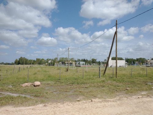 Terreno En Venta En Domselaar