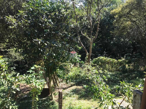 Imagem 1 de 11 de Chácara À Venda, 4 Quartos, 6 Vagas, Dos Finco - São Bernardo Do Campo/sp - 97492