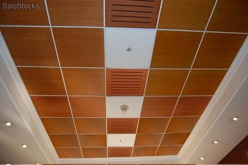 Instalacion Y Provision De Cielos Americanos