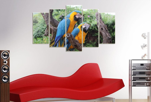 Cuadro 60x100cm Aves Guacamayo Loro Colores M9