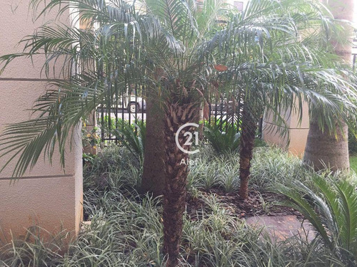 Imagem 29 de 30 de Apartamento Novo Com Linda Varanda E 2 Suítes Com Todo Lazer - Ap3527
