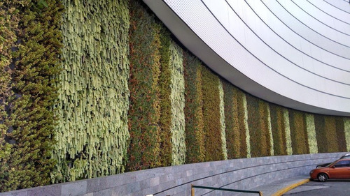 Muro Verde, Jardín Vertical, Pared Verde (desde $2,500 /m2)
