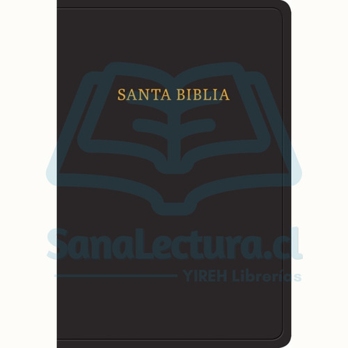 Biblia Letra Grande Tamaño Manual, Rvr 1960 Con Referencias