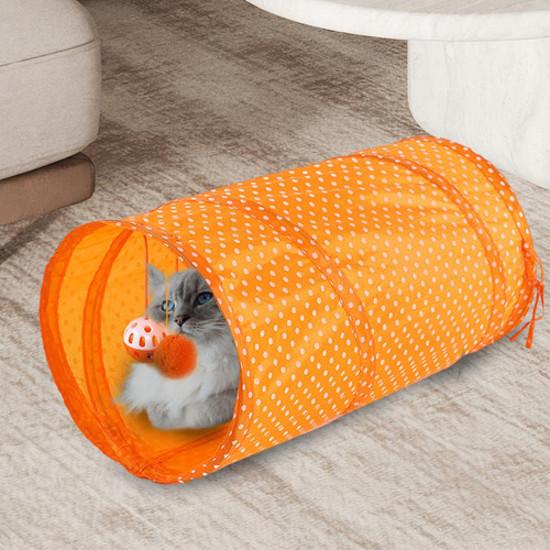 Para Gatos De Interior, Para Conejos, Ejercicio, Naranja