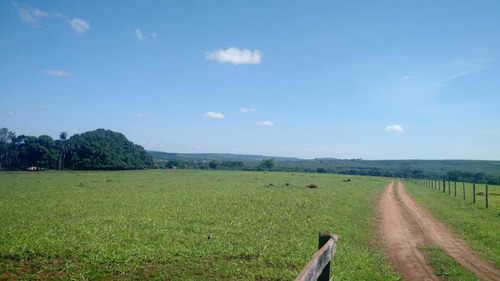 Imagem 4 de 9 de Fazenda Dupla Aptidão Município Campina Verde