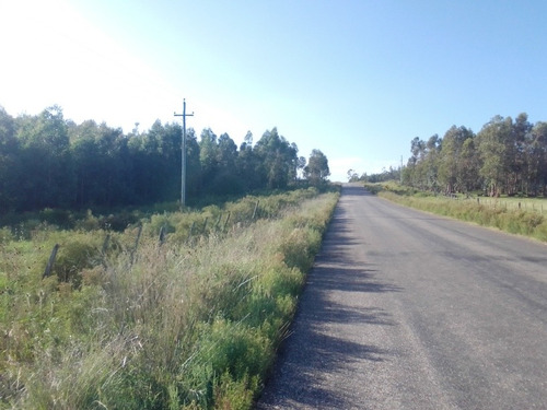 Oportunidad !! Chacra A 8 Km De Ciudad De Minas