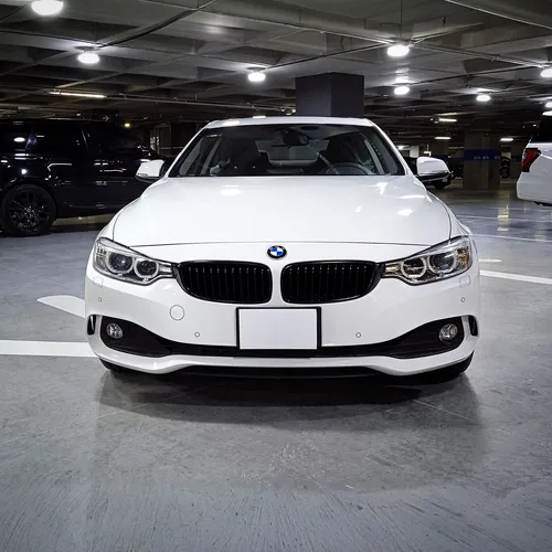 BMW Serie 4 2.0 420ia Coupe At