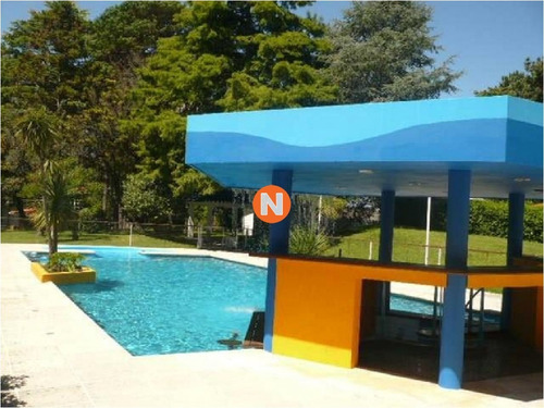 Casa En Venta Y Alquiler, Cantegril, Punta Del Este, 4 Dormitorios.- Ref: 207382