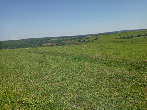 Fazenda 3 Quartos Sala Cozinha Banheiro 29 Hectares 