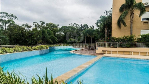 Apartamento - Jardim Carvalho - Ref: 204552 - V-204664