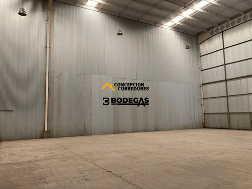 Arriendo Bodega De 777 M2 En Pi De San Bernardo.
