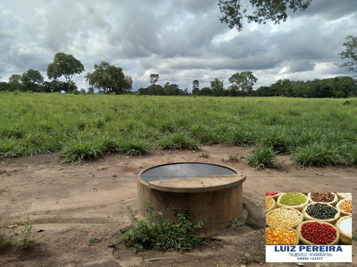 Imagem 10 de 13 de Fazenda À Venda Em Cristalândia - To - 1,302 Hec Planta Soja - 1629