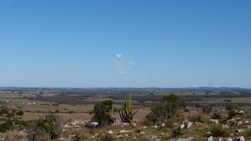 Imagen 9 de 17 de Campo Cerca Ruta 39 En Las Cañas - San Carlos