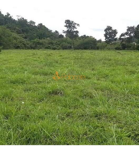 Imagem 5 de 7 de Rural Chacara - 977339-v