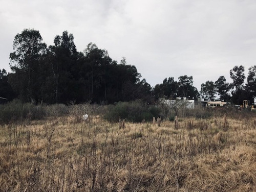 Imagen 9 de 16 de Espectacular Lote En Riestra! 40 X 109.36 Emprendimientos Varios