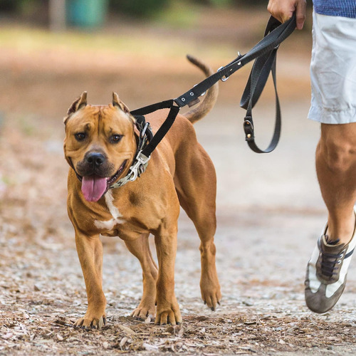 4 Piezas Acopladores De Correa Para Perros Sin Enredos Negra