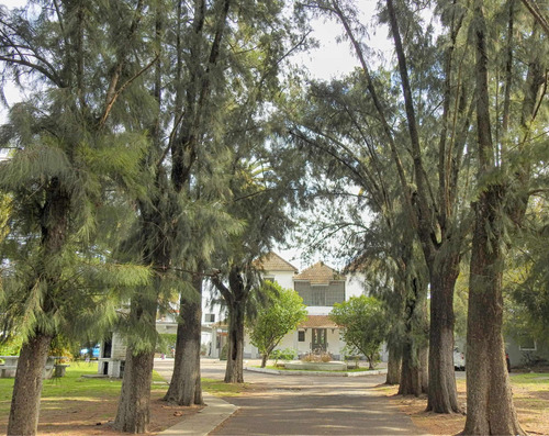 Residencias Geriátricas Sol De Otoño