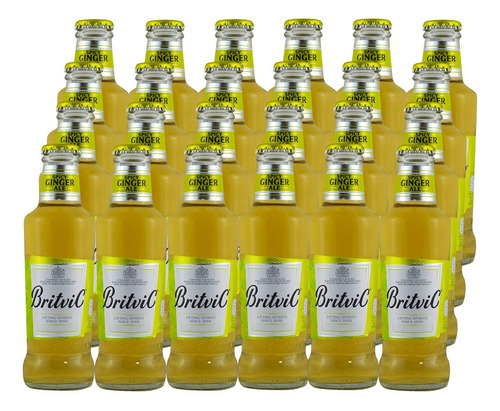 24 Britvic Ginger Ale, 200 Ml