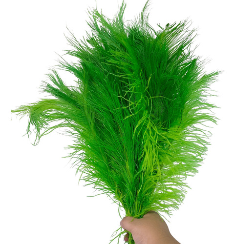 Plumas De Avestruz Palito Para Arranjos De Flor 100g Cor Verde-limão