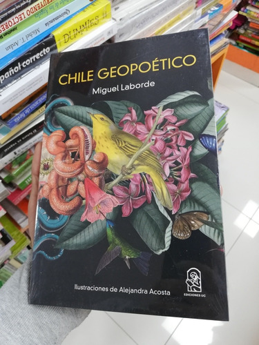 Libro Chile Geopoético - Miguel Laborde 