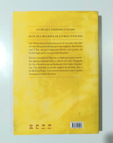 Livro: A Vida Secreta Das Abelhas - Sue Monk Kidd (Usado)