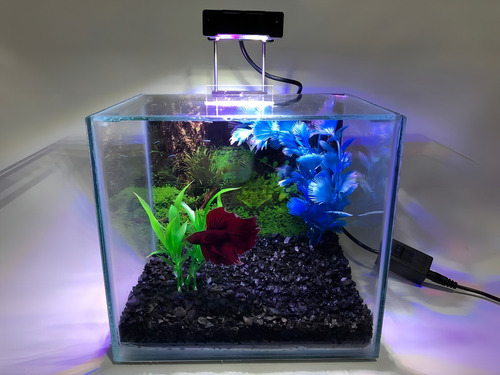 Luminária Led Aquário Eco Betta S10 Bra/azu/ver 10/20cm 127/220V
