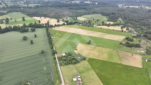 Agrícola En Venta En Lago Ranco La Unión