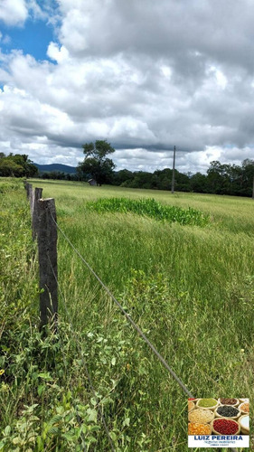 Fazenda À Venda Em Porto Murtinho - Ms - De 1.917 Hectares (pecuária) - 1635