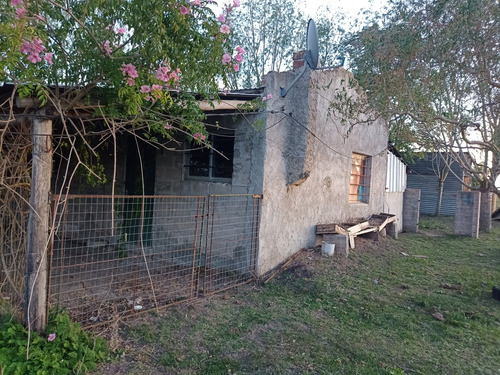 Imagen 5 de 10 de Venta De Campo 4 Has, Villa Nueva, Canelones
