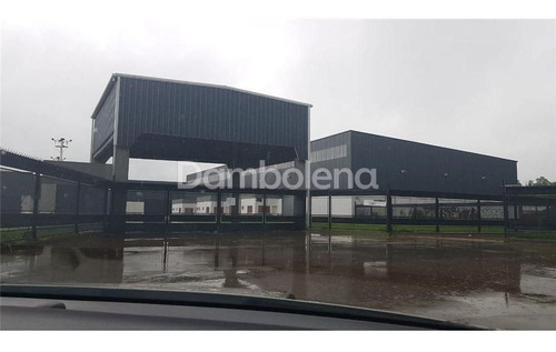 Imagen 4 de 30 de Depósito Galpón En Alquiler Ubicado En Francisco Álvarez, Moreno