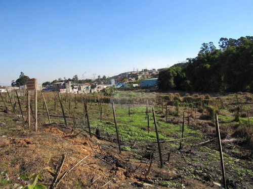 Imagem 5 de 26 de Terreno À Venda, 14900 M² Por R$ 9.000.000,00 - Jardim São João (zona Norte) - São Paulo/sp - Te0138